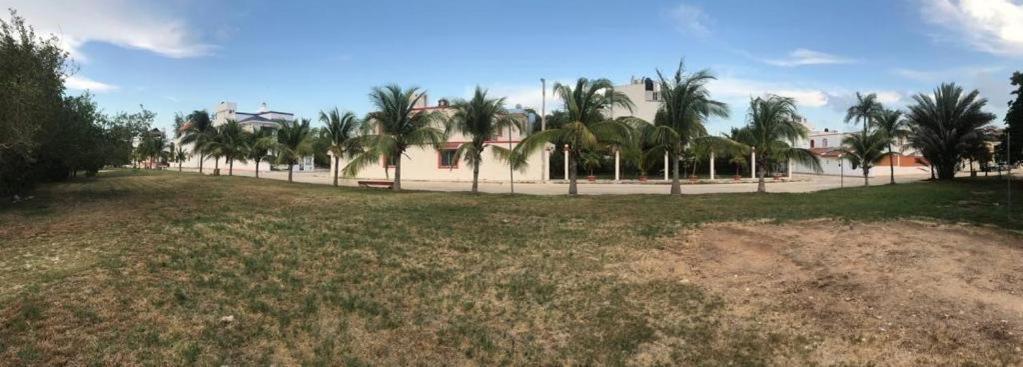 Cancun Ocean View Playa Del Nino Room photo